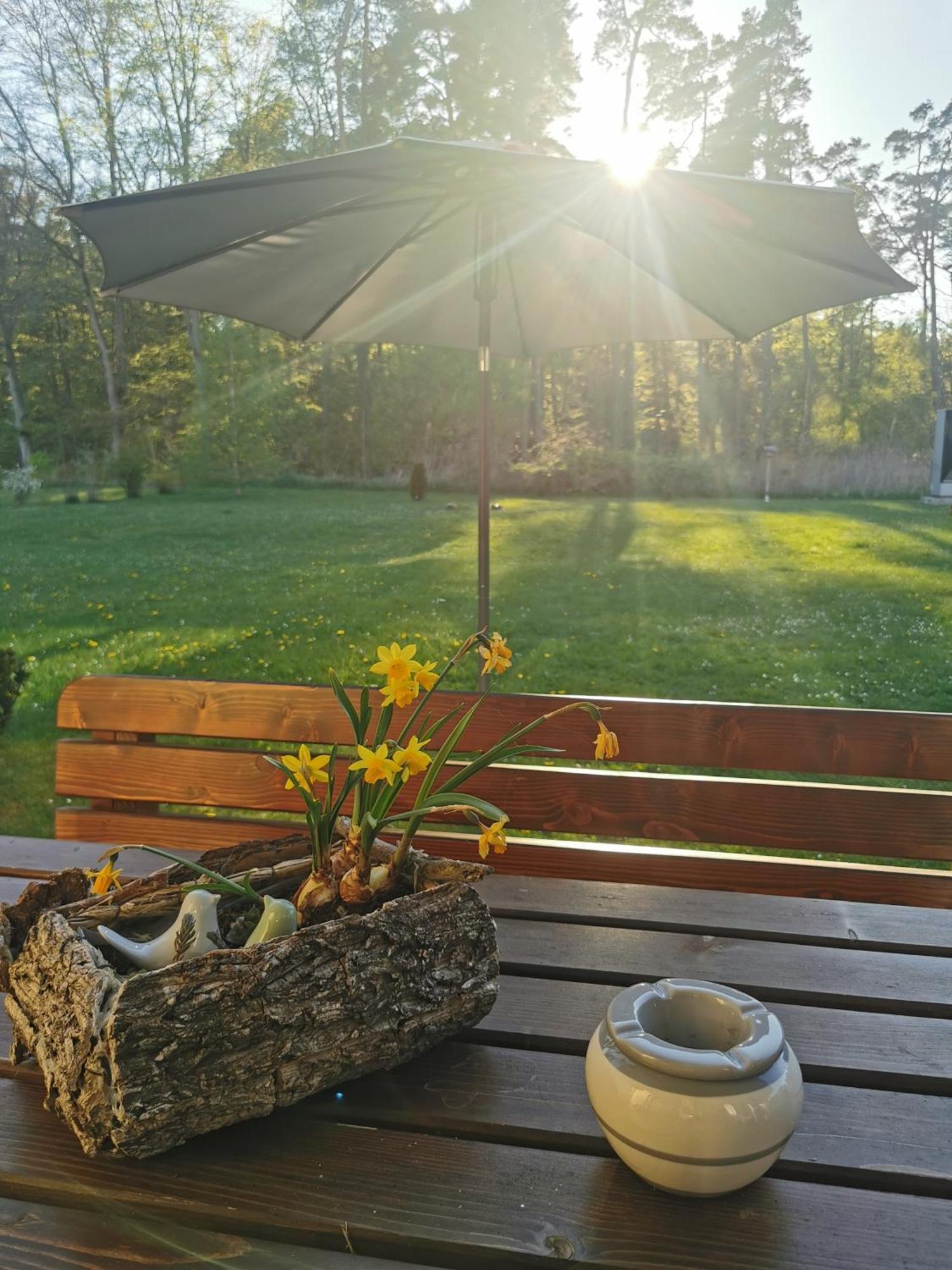 Fewo Ostseeparadies Waldblick Graal-Mueritz Exterior foto